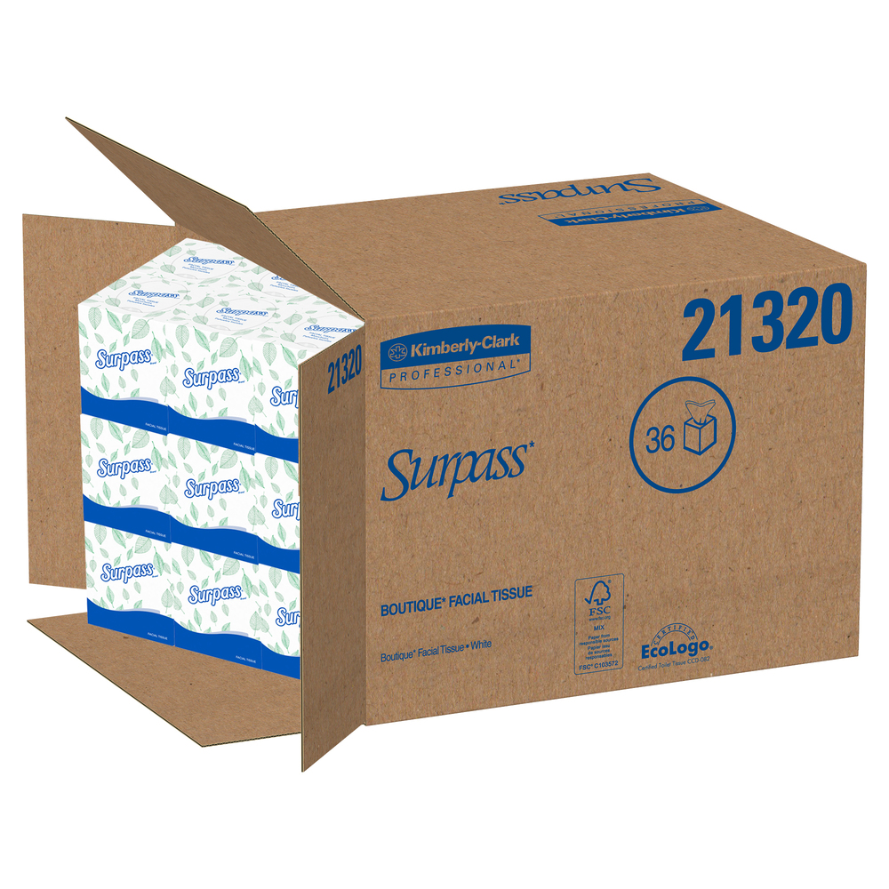 Cube de mouchoirs Surpass Boutique (21320), 2 épaisseurs, blancs, non parfumés, 110 mouchoirs/boîte, 36 boîtes/caisse - 21320
